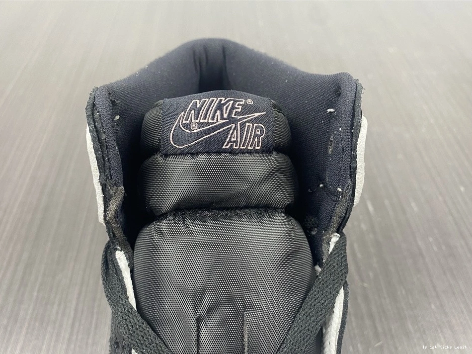 Air 1 Jordan 575441-108  0523